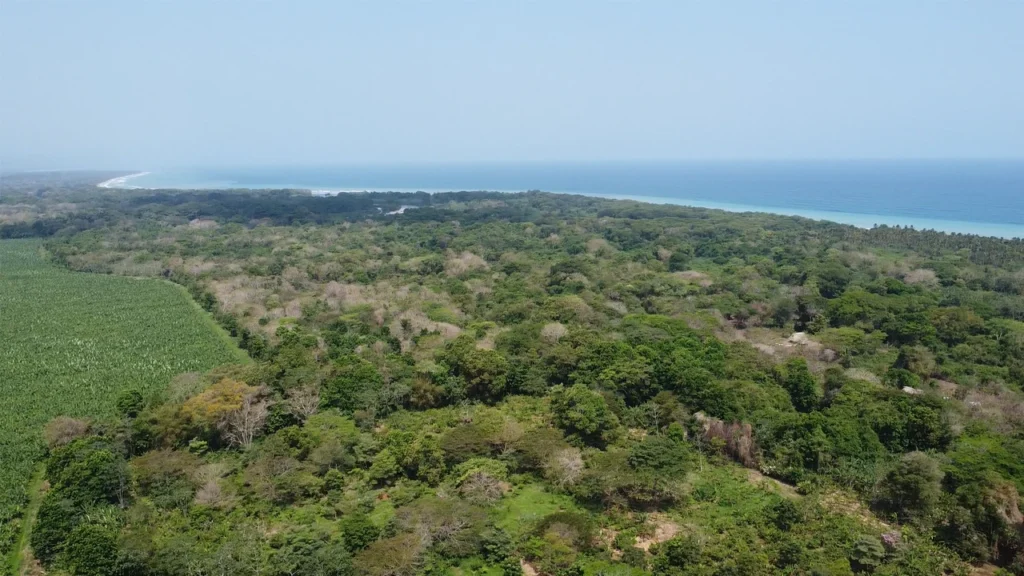 Vista aérea de Katansama con área reforestada por el Pueblo Arhuaco junto a una finca deforestada