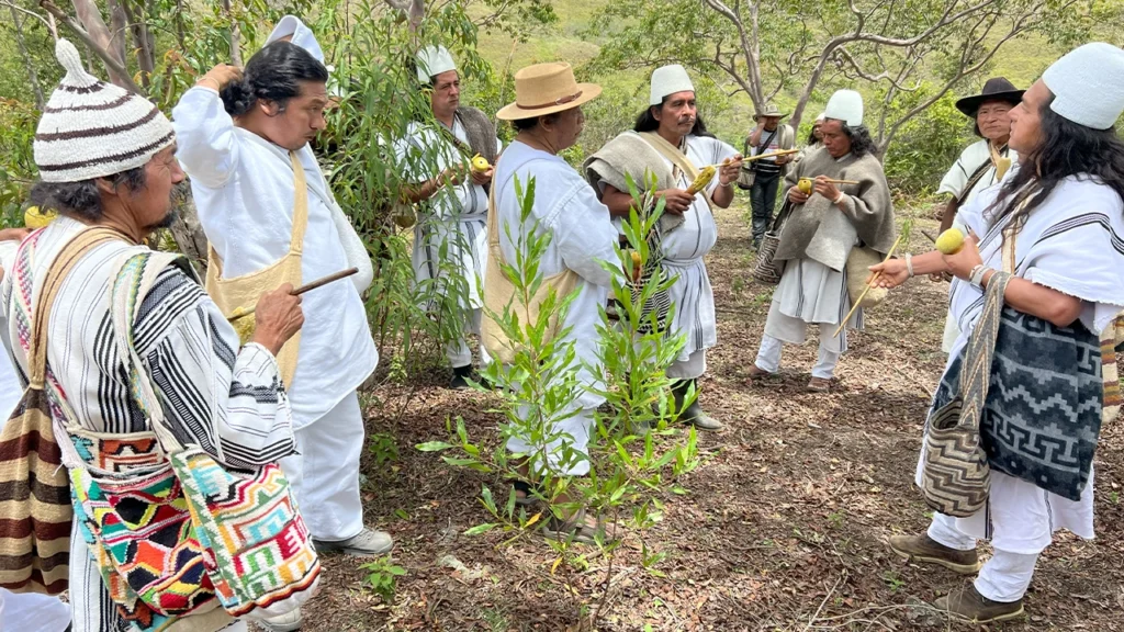 Autoridades indígenas de los cuatro pueblos de la Sierra Nevada reconocidas como autoridades ambientales según el Decreto 1275 de 2024.
